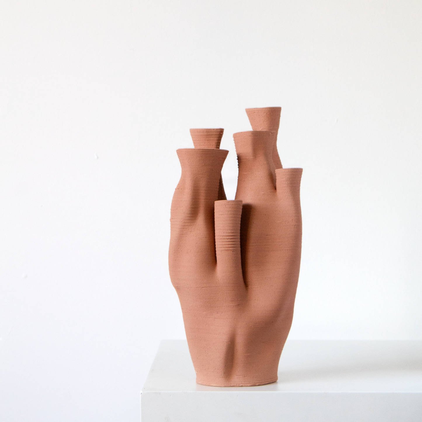 Colección Coral 1