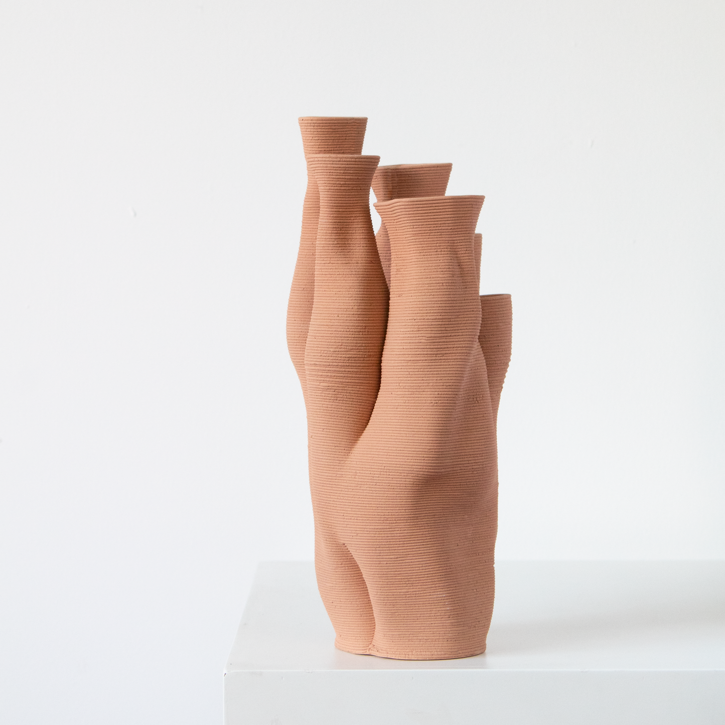 Colección Coral 1